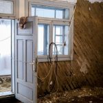 Casa bunicilor spre"Dragoste din plante"